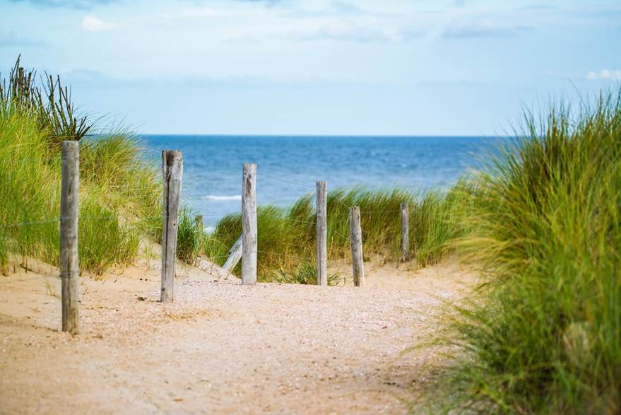 Dünen an der Nordsee