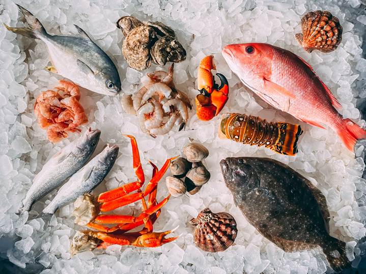 Frische Fische und Meeresfrüchte auf Eis gekühlt
